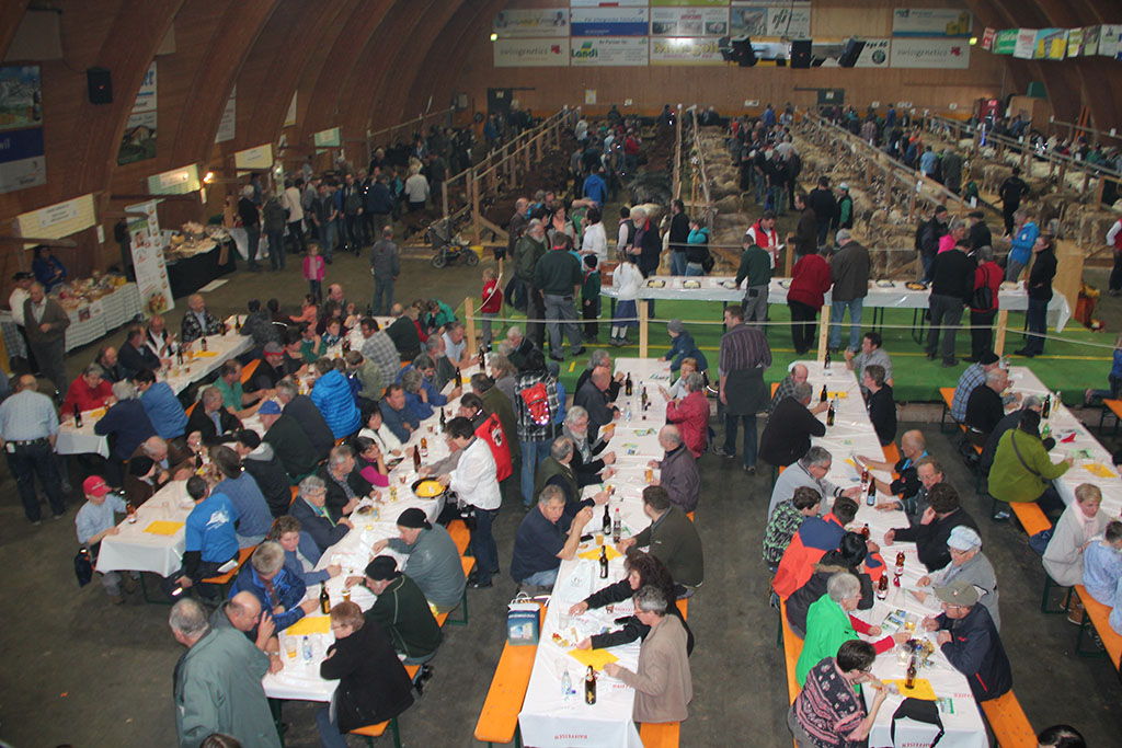 Bild Geissenshow2016